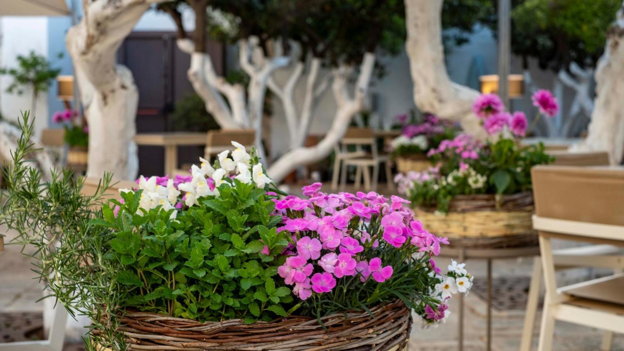La Sommita Relais & Chateaux Ostuni Luaran gambar